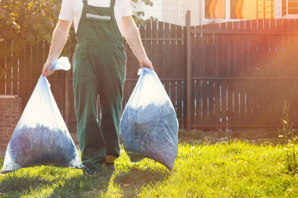 Shed Removal in Highland Park, TX